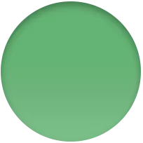 45mm Bright Green Sport Band - Regular