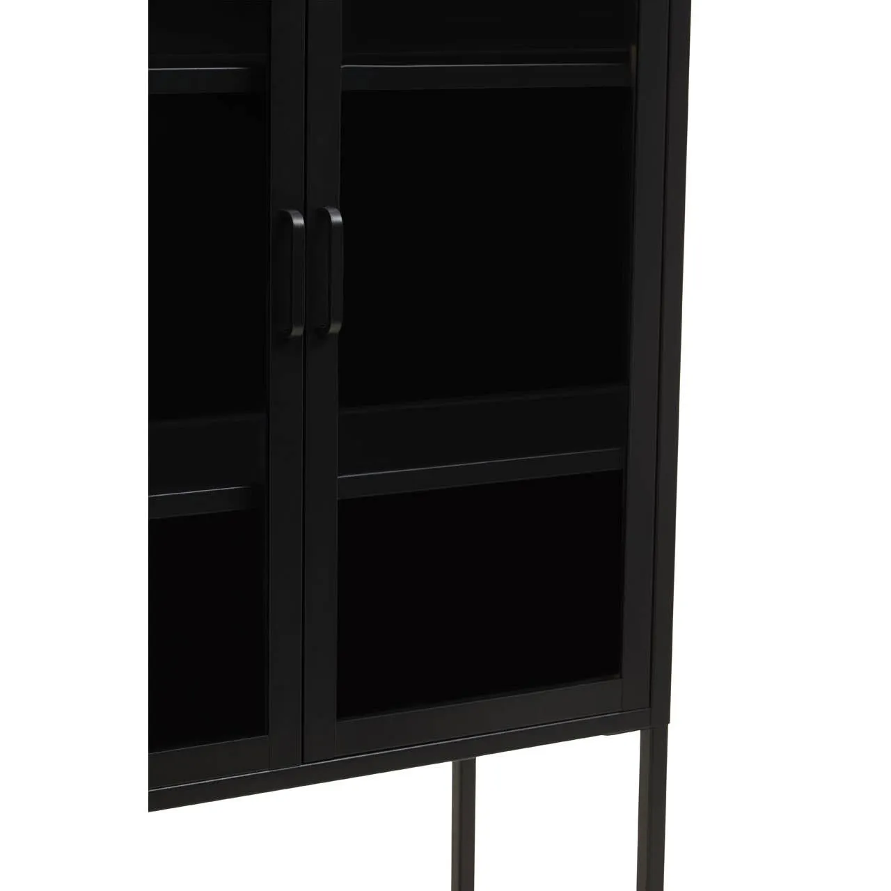 Acier Two Door Black Cabinet With Shelf