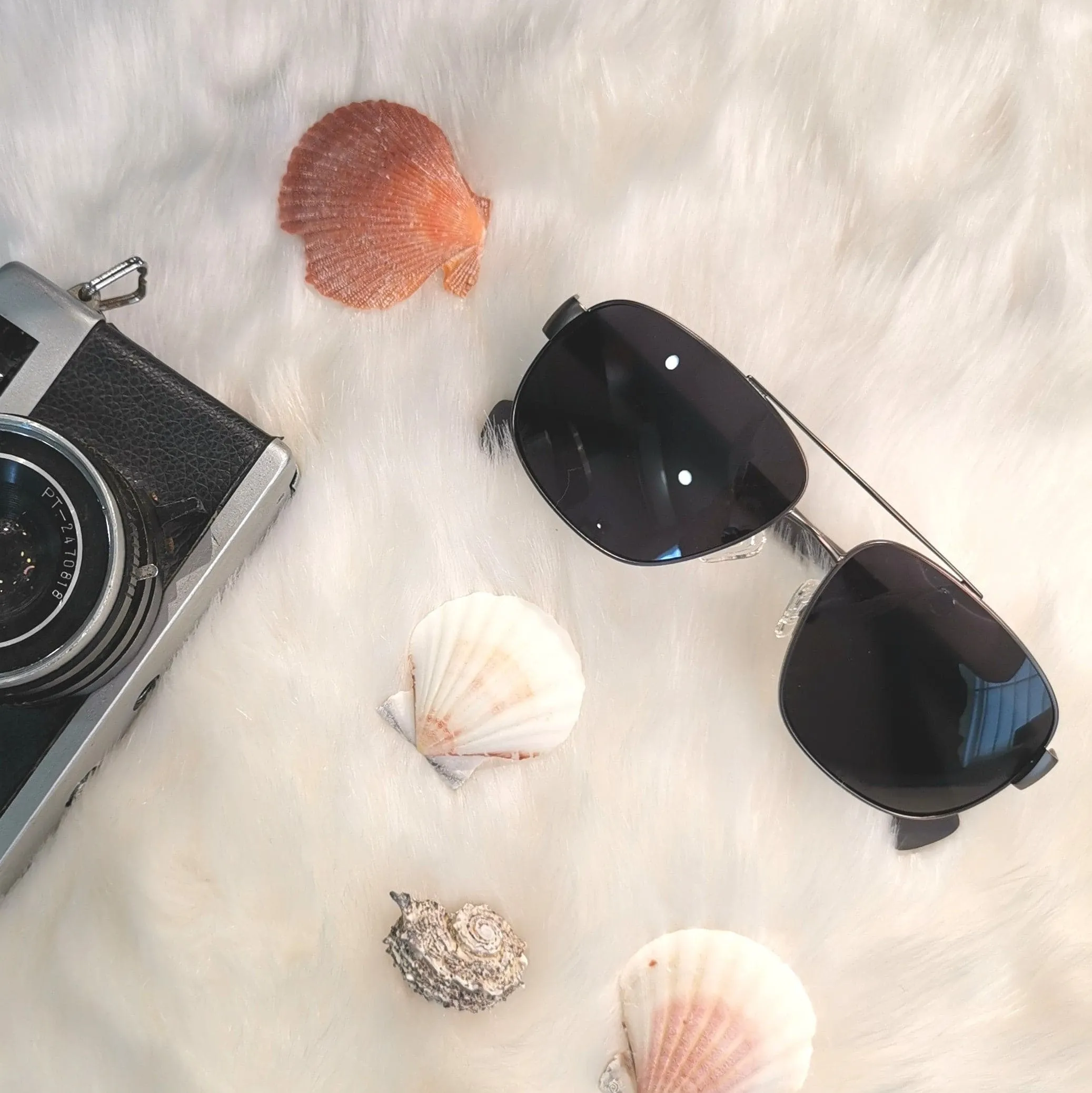 Aries Gold Unisex Premium Sunglasses - Black