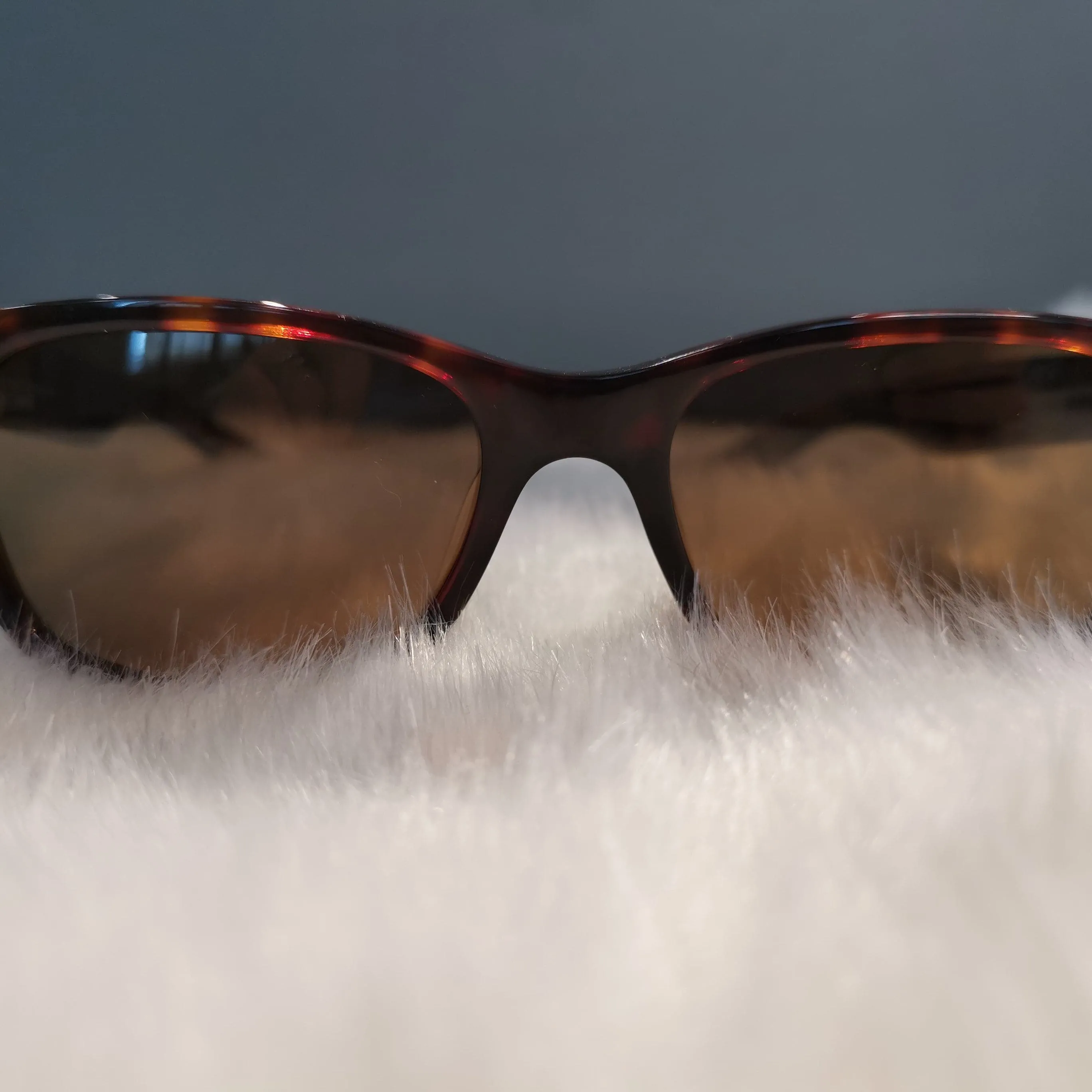 Aries Gold Unisex Premium Sunglasses - Brown