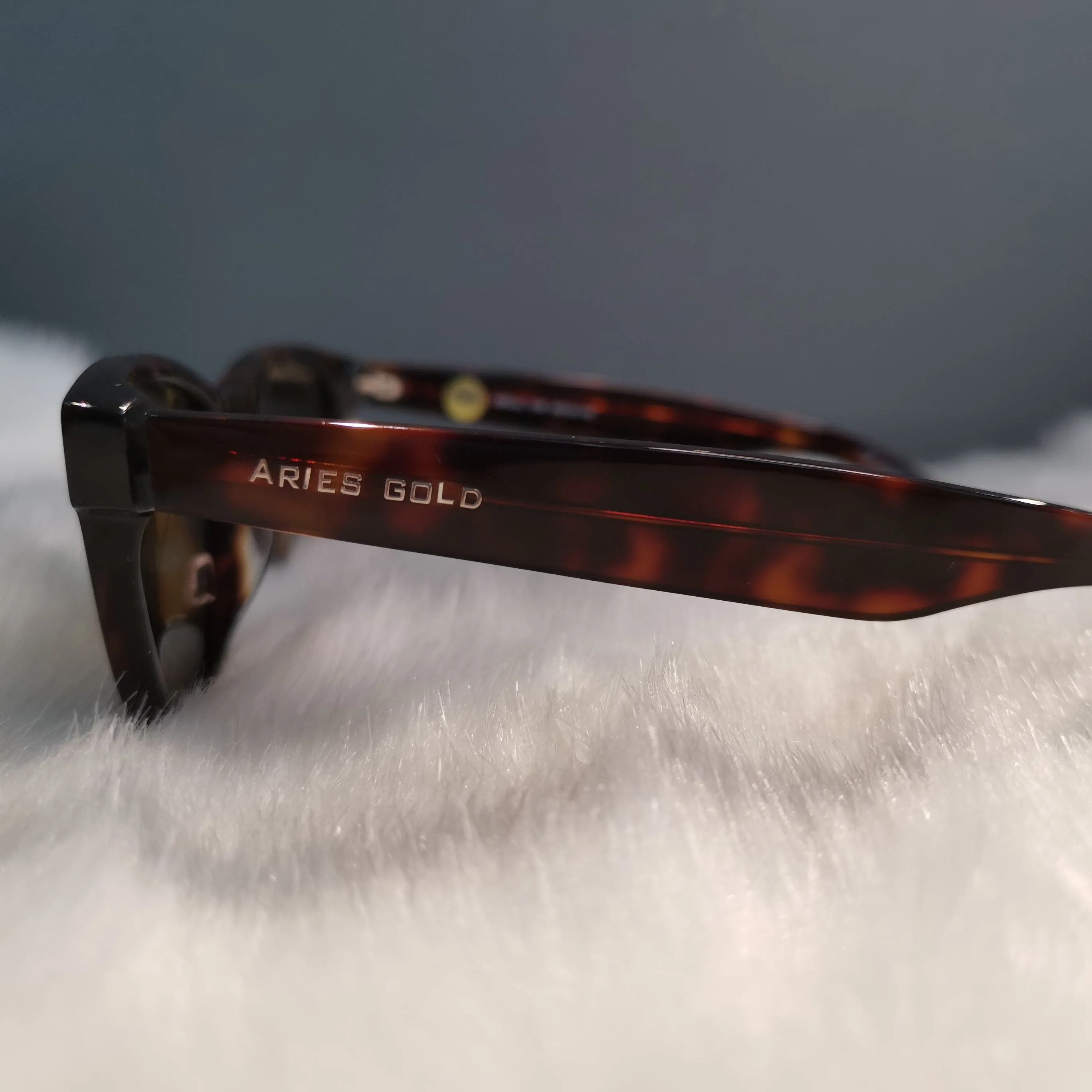 Aries Gold Unisex Premium Sunglasses - Brown