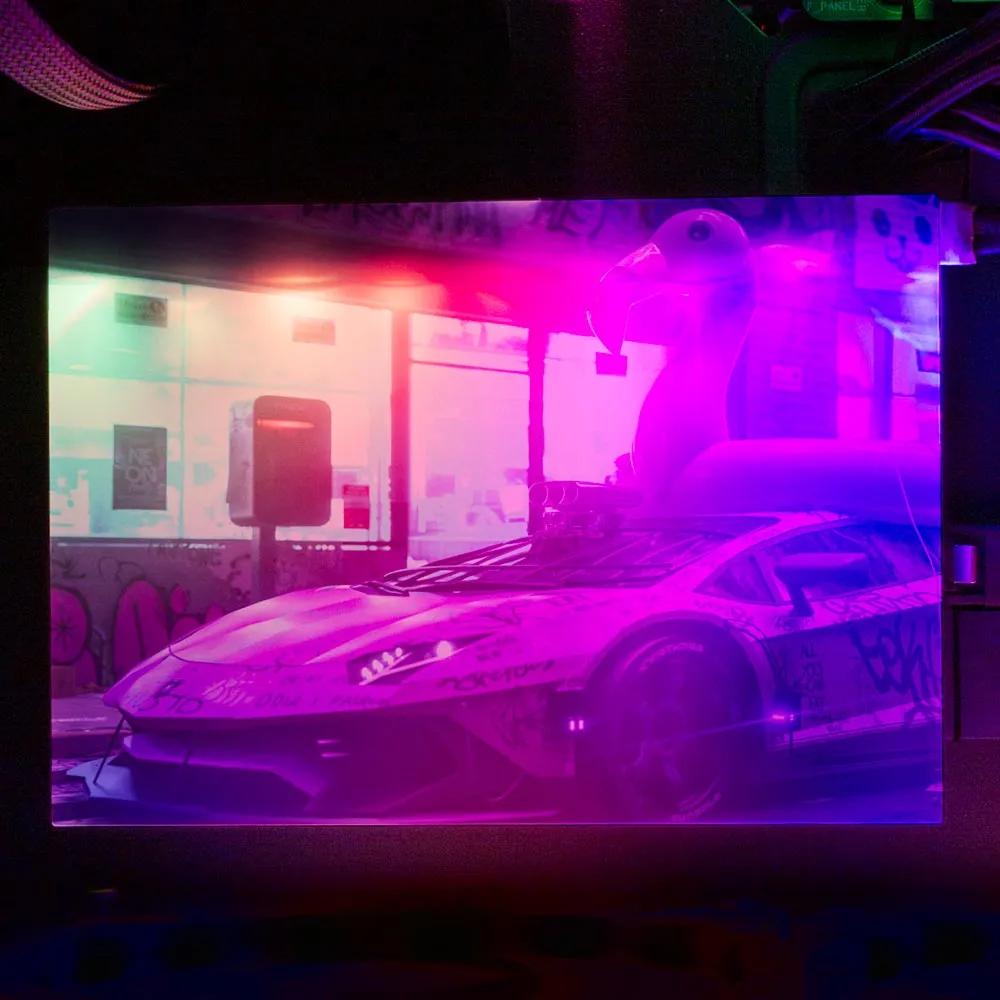 Bad Flamingo RGB HDD Cover Horizontal
