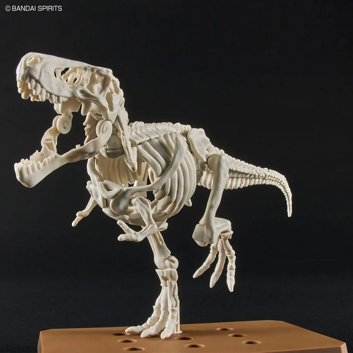 Bandai Plannosaurus Tyrannosaurus (Plastic Model)
