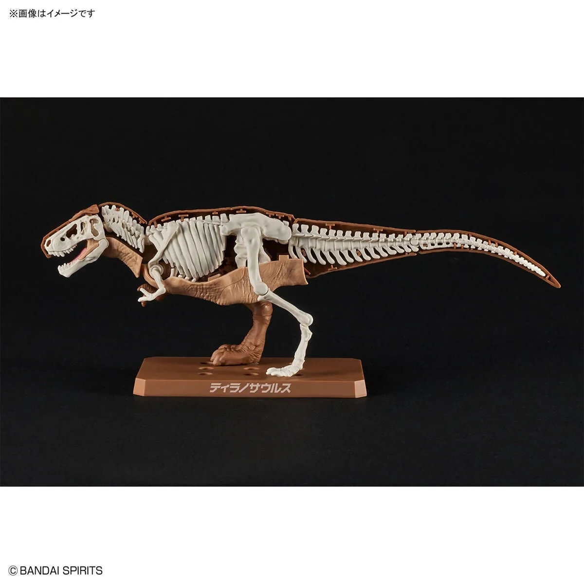 Bandai Plannosaurus Tyrannosaurus (Plastic Model)