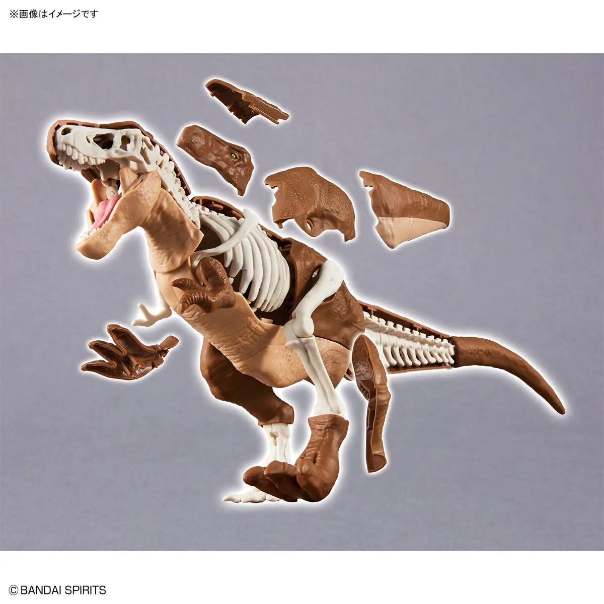 Bandai Plannosaurus Tyrannosaurus (Plastic Model)