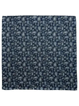 Blue Paisley Print Pocket Square