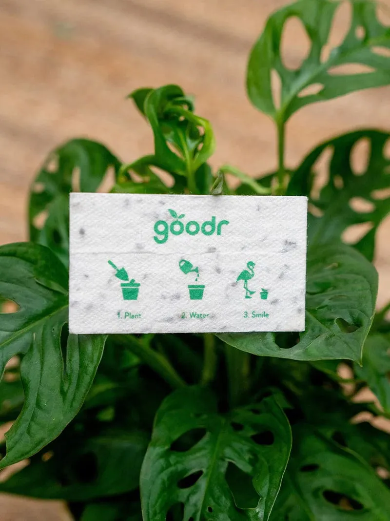 Goodr Need For Seed Sunglasses