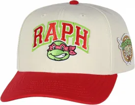 Nickelodeon Mens' Teenage Mutant Ninja Turtles Embroidered Classic Precurve Snapback Hat