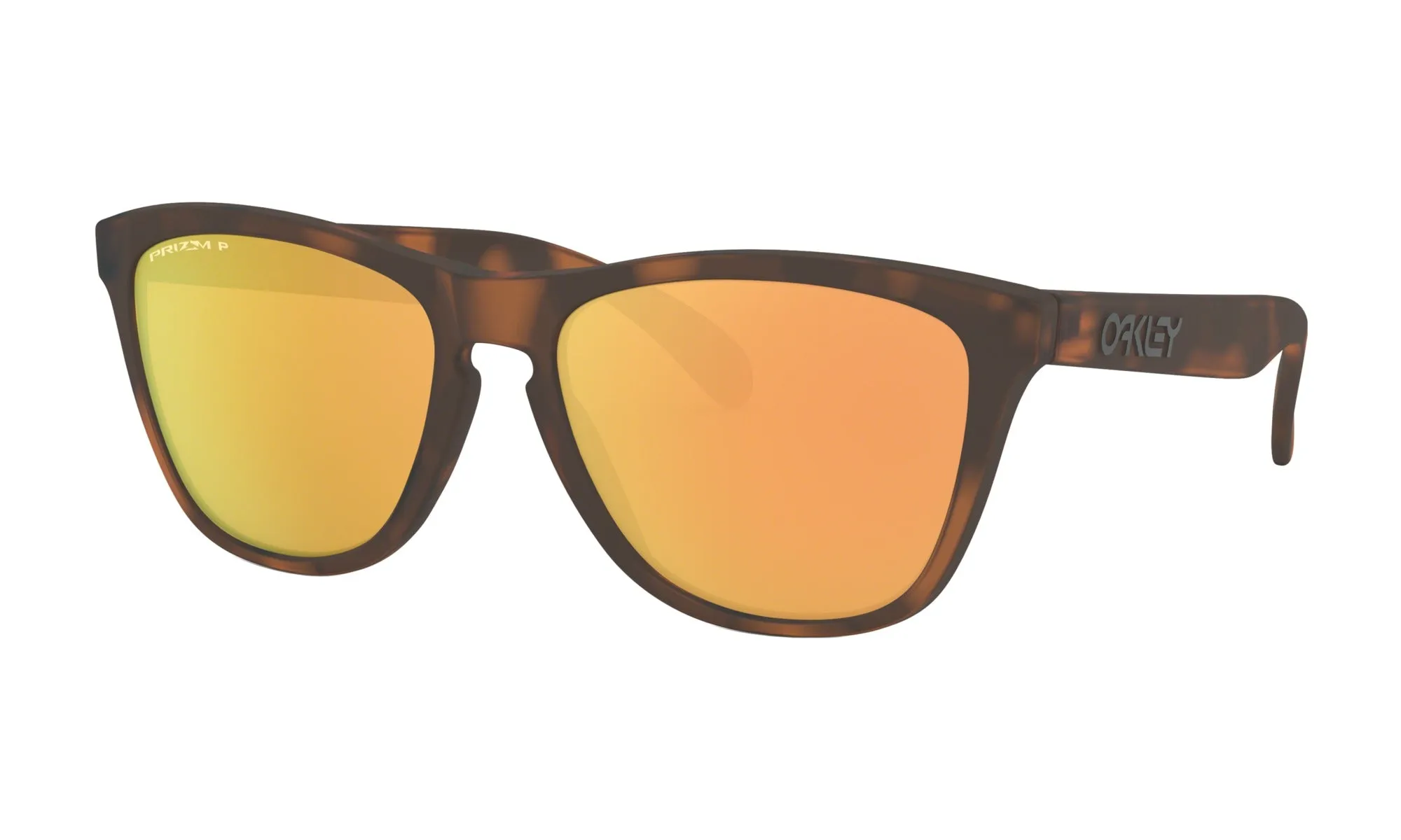 Oakley Frogskins PRIZM Polarised