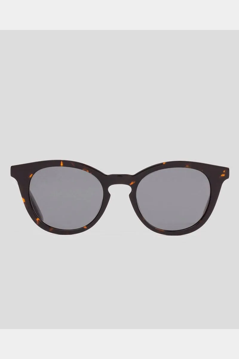 Sito now or never iron grey polarized - havana