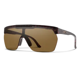 XC M.Tortoise CP Brown